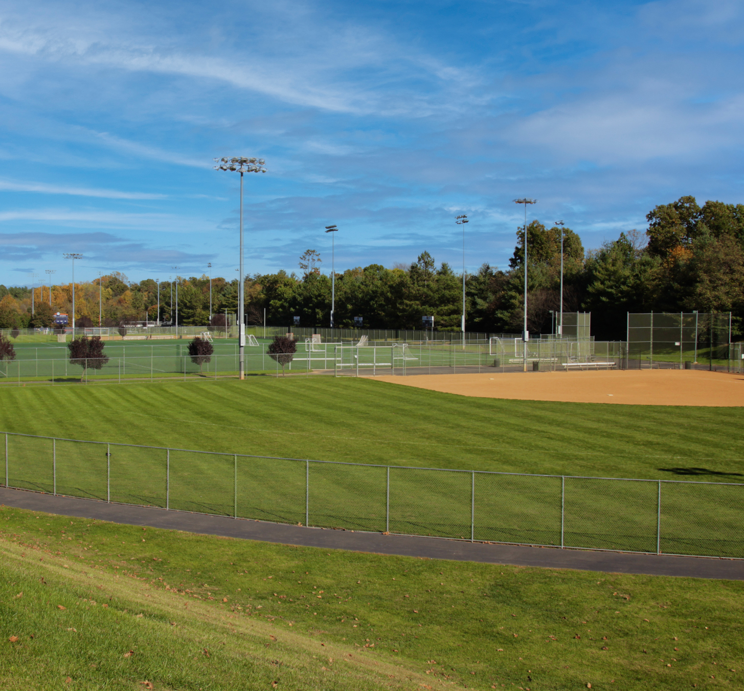 A picture of a sunny day at the Park